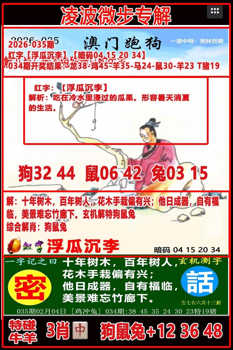 第035期凌波微步