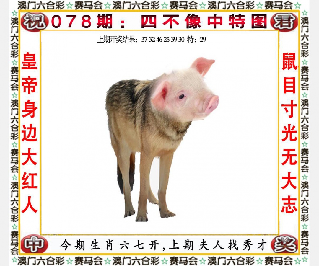 600图库：078期四不像中特图