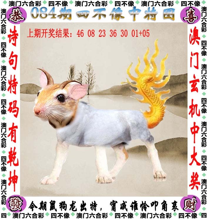 49免费资料：084期四不像