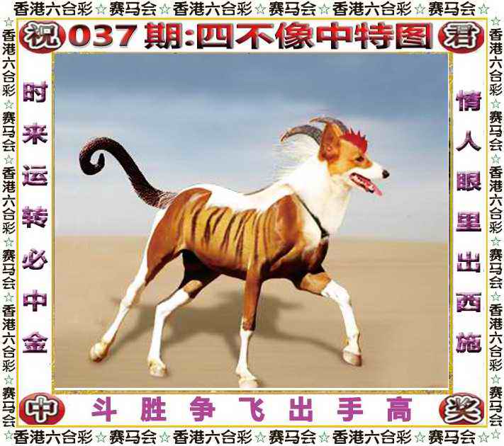 037期四不像中特图，白手起家资讯网！