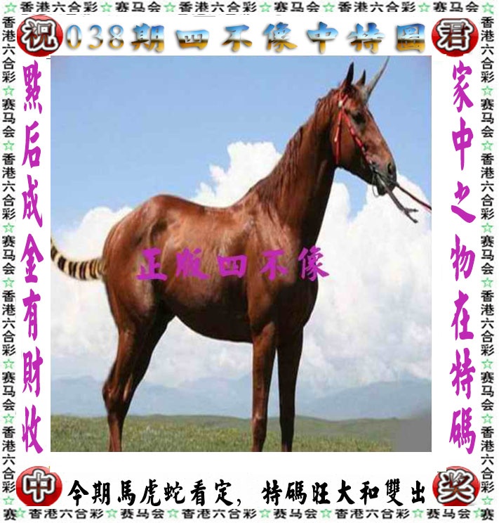038期正版四不像，246澳门天天好彩资料大全