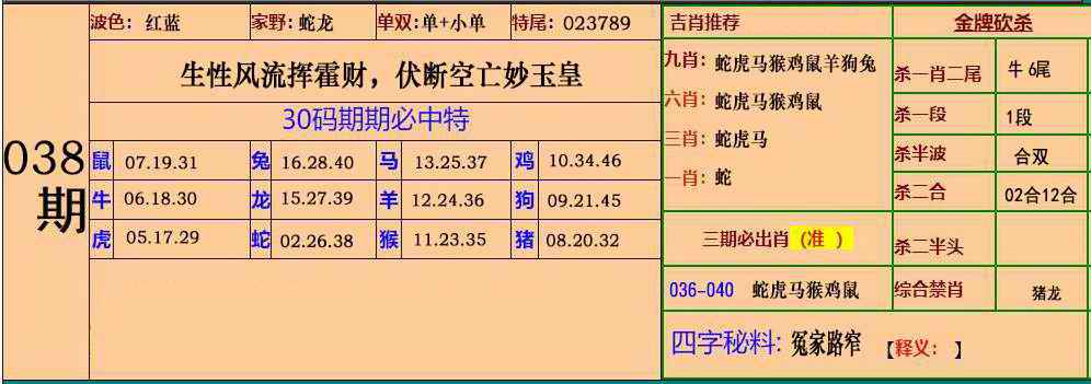 白姐特段038期：小鱼儿30码期期中