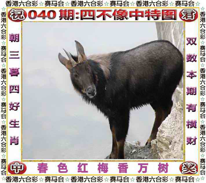 040期全网最准：四不像中特图