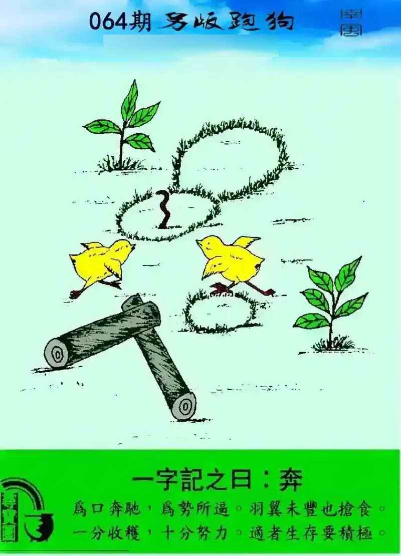 心水论坛：064期另版跑狗