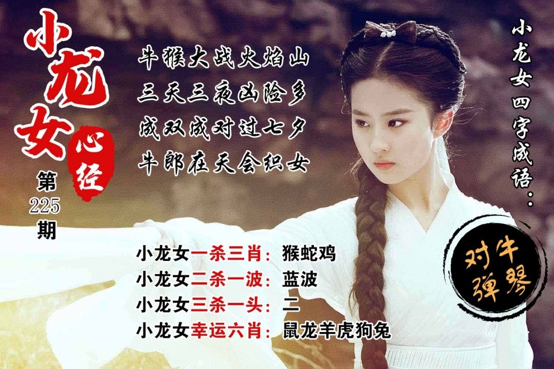 铁算盘论坛225期：小龙女心经